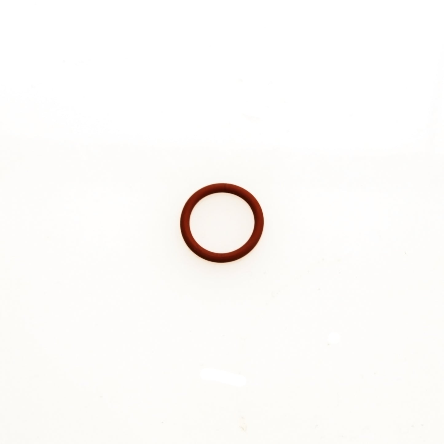 WG Valve Guide 'O' Ring