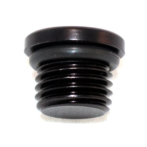 Straight Thread O-Ring Plug -20