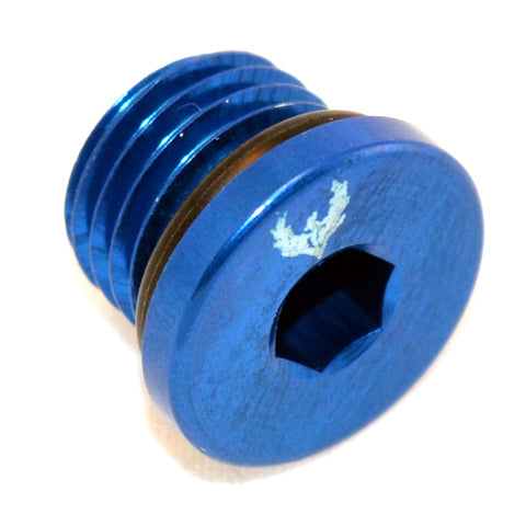 Straight Thread O-Ring Plug -16