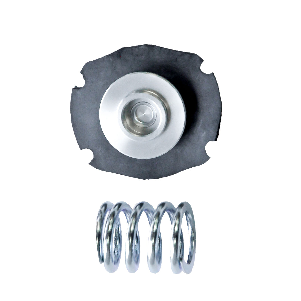 Rebuild Kit For F50106-3 Fuel Pressure Regulator