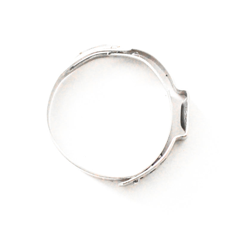 Stainless Safety Clamps -06
