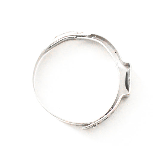 Stainless Safety Clamps -06