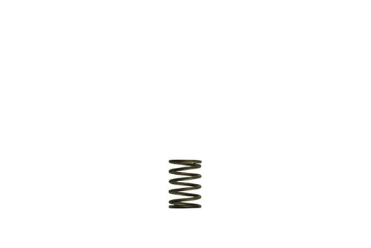 WG38/40 Gen-V 3psi Inner spring - Black