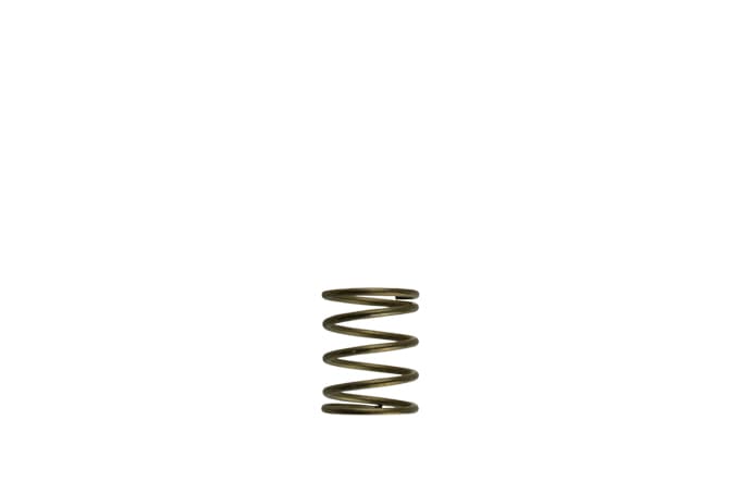 WG45/50 Gen-V 3psi Inner spring - Orange